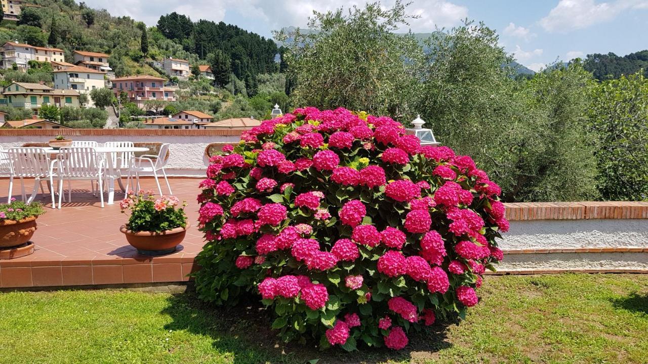 Casa Vittoria Villa Corsanico-Bargecchia Exterior photo